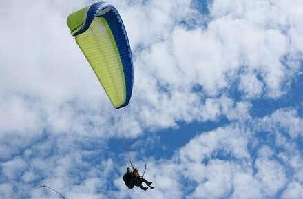 <span style="font-weight: bold;">ПОДАРОЧНЫЕ СЕРТИФИКАТЫ</span>